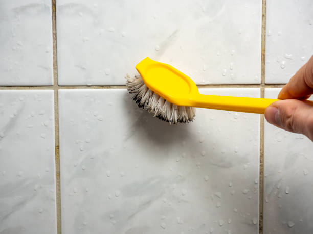 Best Mold Remediation for Schools in Clayton, OH