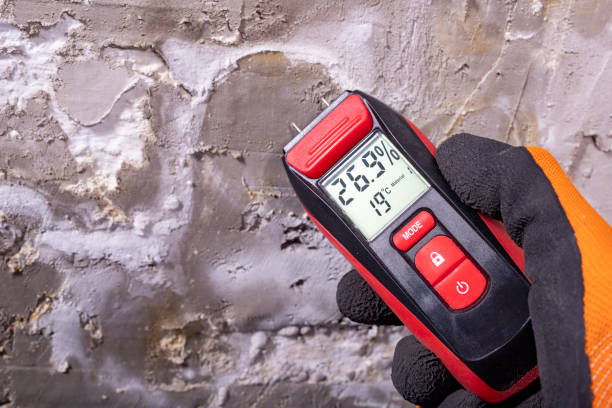 Best Crawl Space Mold Remediation in Clayton, OH